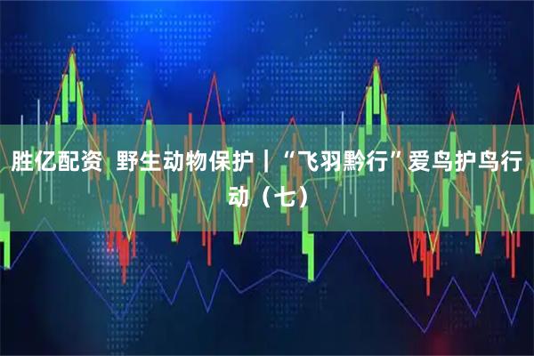 胜亿配资  野生动物保护｜“飞羽黔行”爱鸟护鸟行动（七）