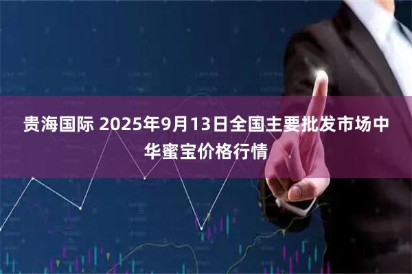 贵海国际 2025年9月13日全国主要批发市场中华蜜宝价格行情