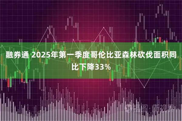 融券通 2025年第一季度哥伦比亚森林砍伐面积同比下降33%