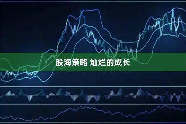 股海策略 灿烂的成长