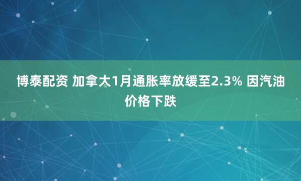 博泰配资 加拿大1月通胀率放缓至2.3% 因汽油价格下跌