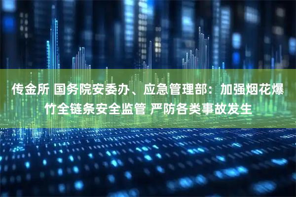 传金所 国务院安委办、应急管理部：加强烟花爆竹全链条安全监管 严防各类事故发生