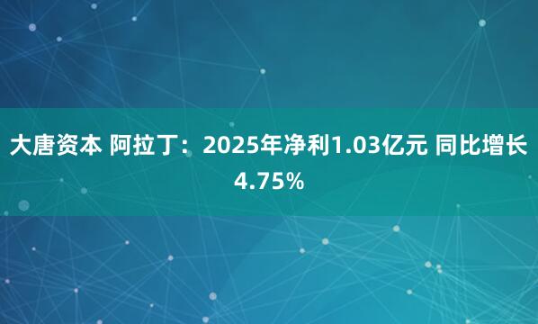 大唐资本 阿拉丁：2025年净利1.03亿元 同比增长4.75%